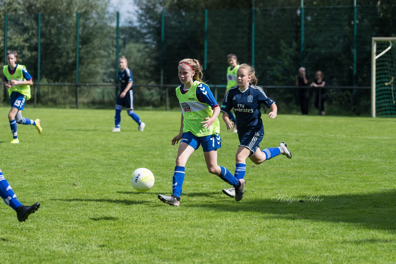 Bild 295 - B-Juniorinnen VfL Pinneberg - HSV : Ergebnis: 1:4